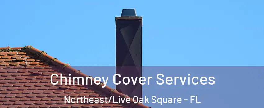 Chimney Cover Services Northeast/Live Oak Square - FL