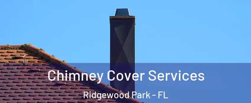 Chimney Cover Services Ridgewood Park - FL