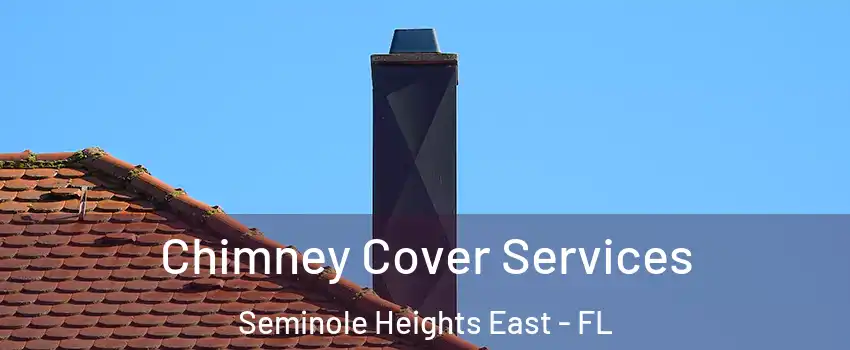 Chimney Cover Services Seminole Heights East - FL