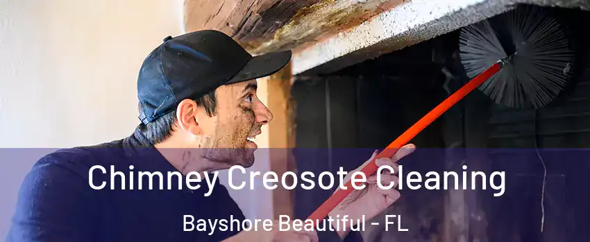 Chimney Creosote Cleaning Bayshore Beautiful - FL