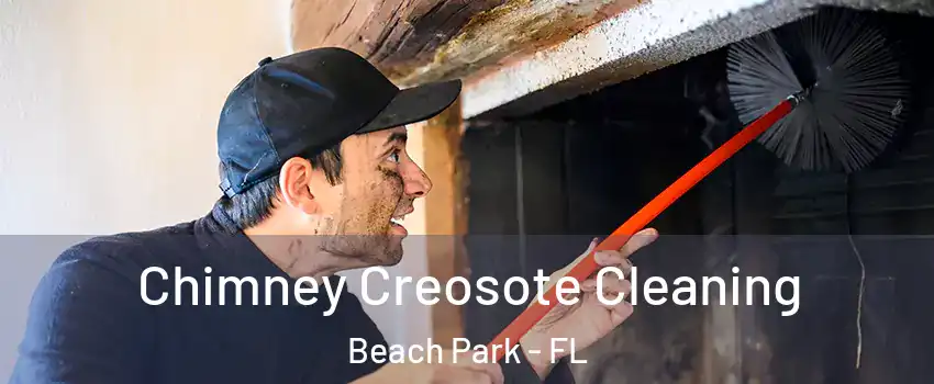 Chimney Creosote Cleaning Beach Park - FL