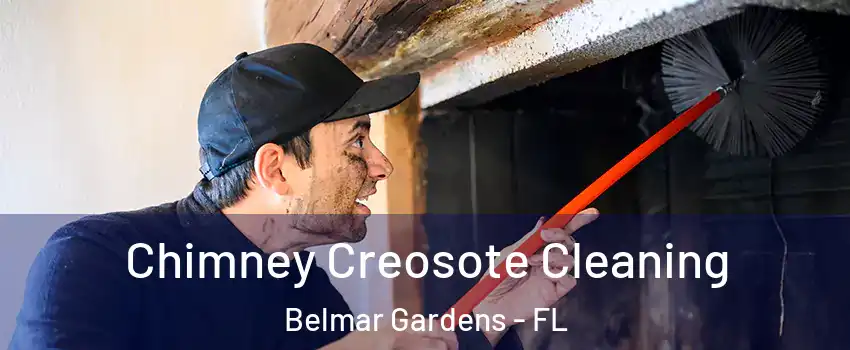 Chimney Creosote Cleaning Belmar Gardens - FL