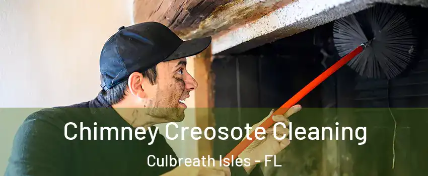 Chimney Creosote Cleaning Culbreath Isles - FL