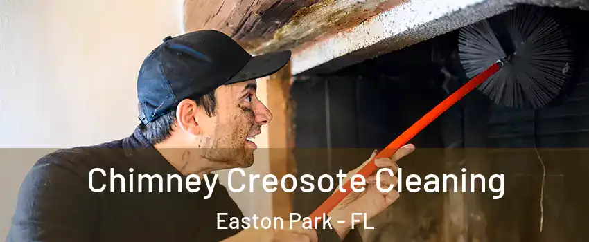 Chimney Creosote Cleaning Easton Park - FL