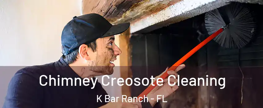 Chimney Creosote Cleaning K Bar Ranch - FL