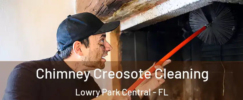 Chimney Creosote Cleaning Lowry Park Central - FL