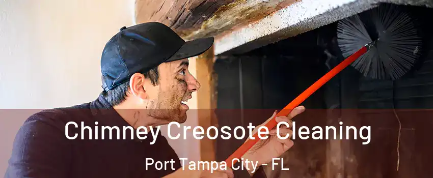 Chimney Creosote Cleaning Port Tampa City - FL