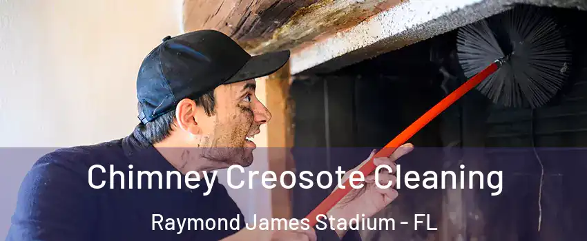 Chimney Creosote Cleaning Raymond James Stadium - FL