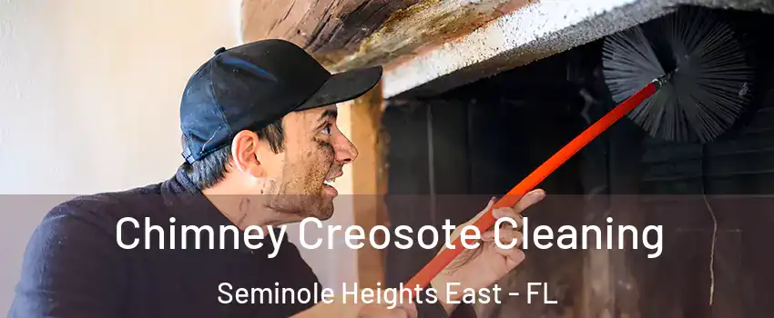 Chimney Creosote Cleaning Seminole Heights East - FL