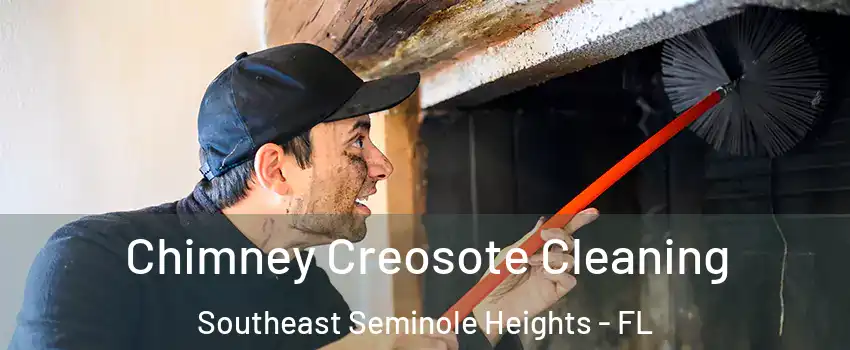 Chimney Creosote Cleaning Southeast Seminole Heights - FL