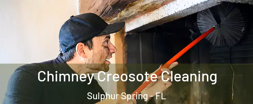 Chimney Creosote Cleaning Sulphur Spring - FL