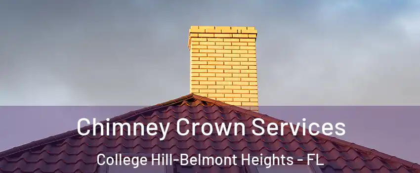 Chimney Crown Services College Hill-Belmont Heights - FL