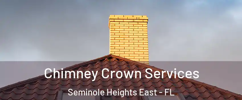 Chimney Crown Services Seminole Heights East - FL