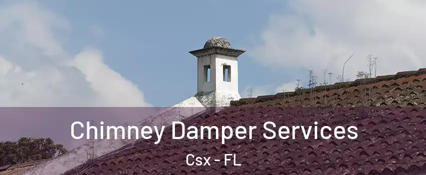 Chimney Damper Services Csx - FL