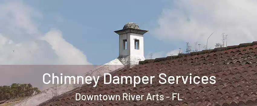 Chimney Damper Services Downtown River Arts - FL