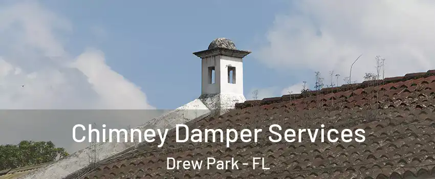 Chimney Damper Services Drew Park - FL