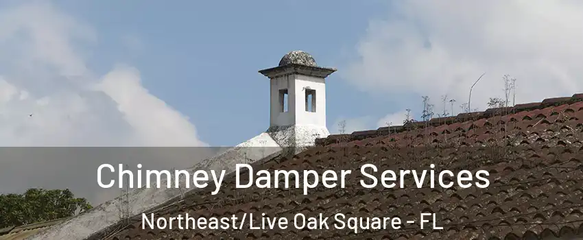 Chimney Damper Services Northeast/Live Oak Square - FL