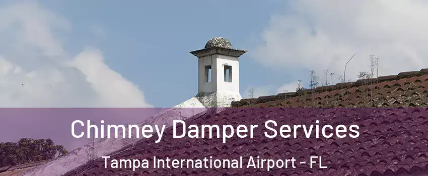 Chimney Damper Services Tampa International Airport - FL