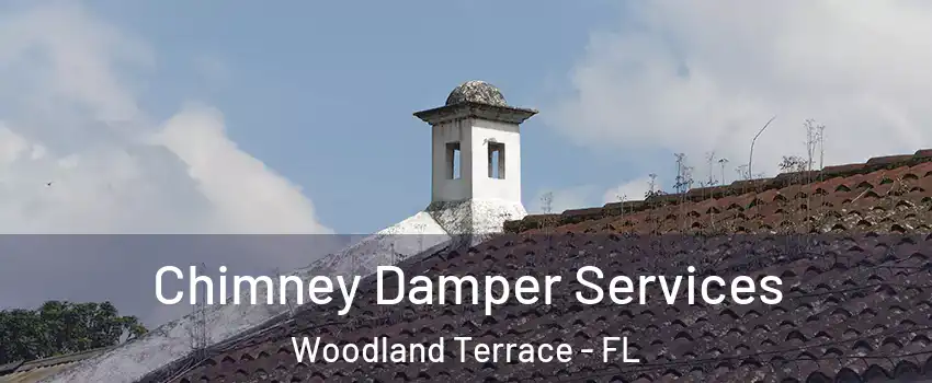 Chimney Damper Services Woodland Terrace - FL