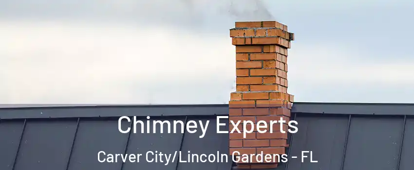 Chimney Experts Carver City/Lincoln Gardens - FL