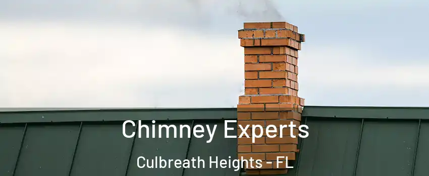 Chimney Experts Culbreath Heights - FL