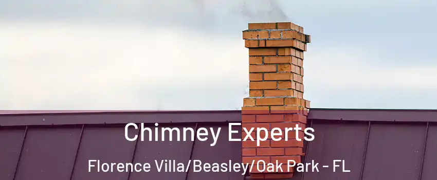 Chimney Experts Florence Villa/Beasley/Oak Park - FL