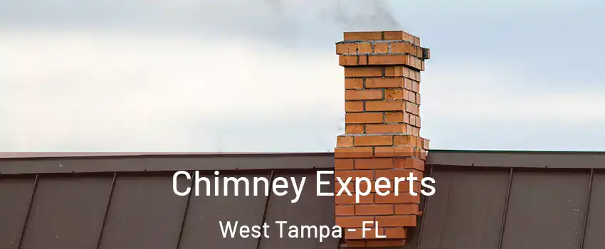 Chimney Experts West Tampa - FL