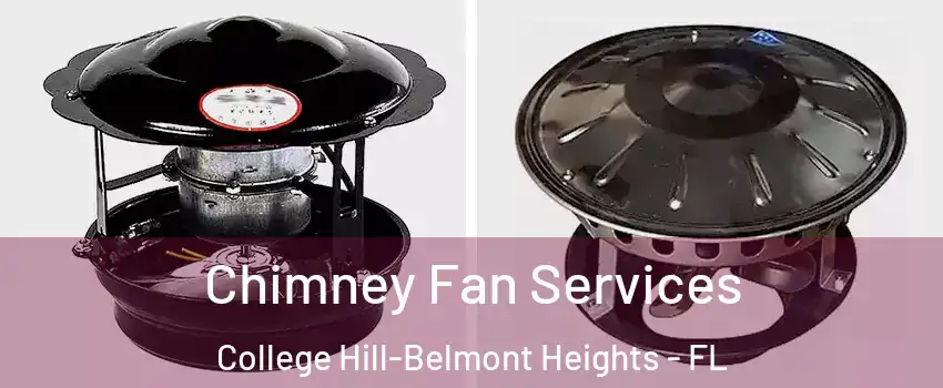 Chimney Fan Services College Hill-Belmont Heights - FL