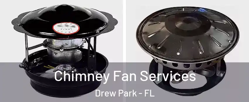 Chimney Fan Services Drew Park - FL