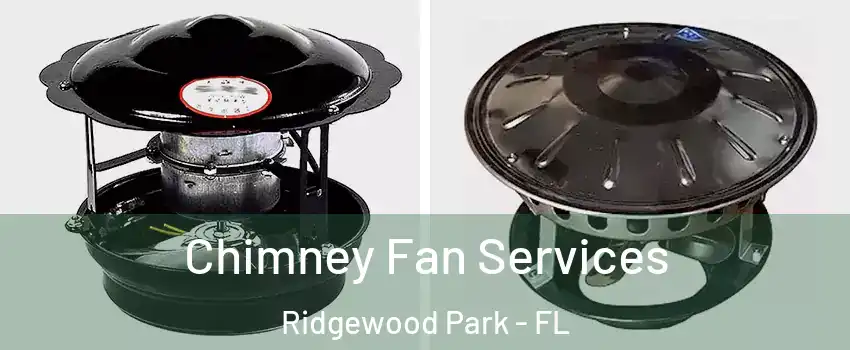 Chimney Fan Services Ridgewood Park - FL