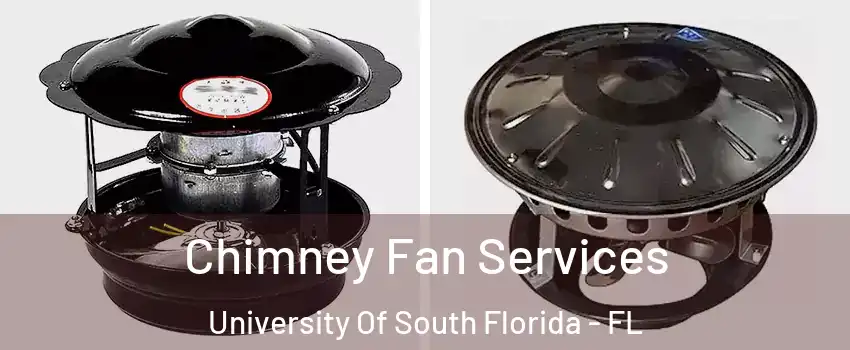 Chimney Fan Services University Of South Florida - FL