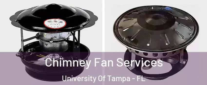 Chimney Fan Services University Of Tampa - FL