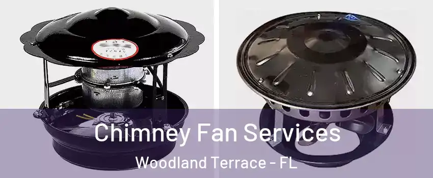 Chimney Fan Services Woodland Terrace - FL