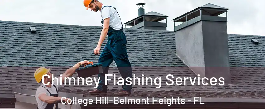 Chimney Flashing Services College Hill-Belmont Heights - FL