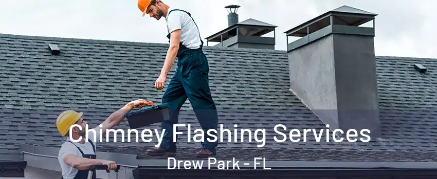 Chimney Flashing Services Drew Park - FL