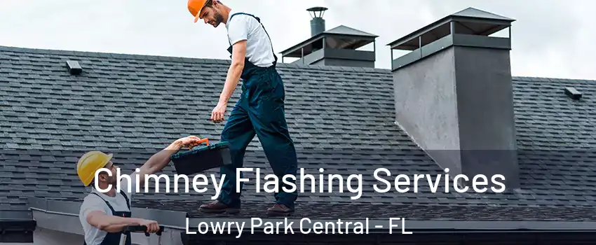 Chimney Flashing Services Lowry Park Central - FL