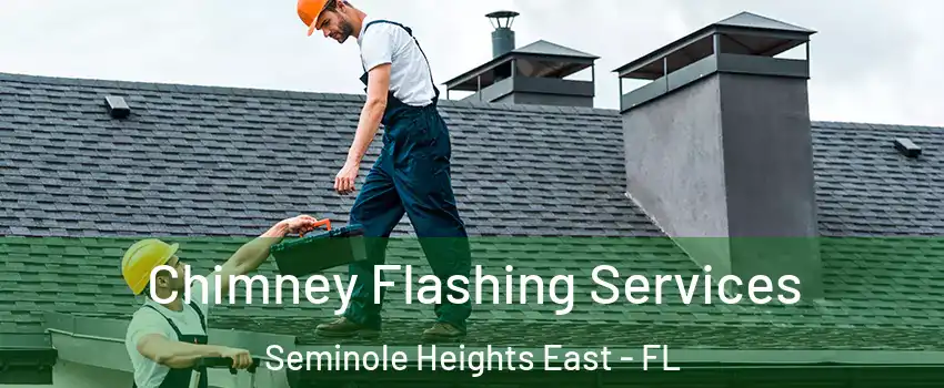 Chimney Flashing Services Seminole Heights East - FL