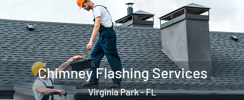 Chimney Flashing Services Virginia Park - FL