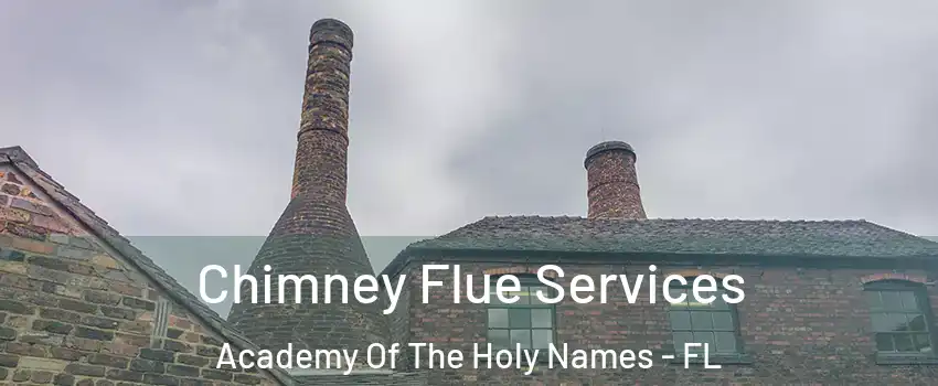 Chimney Flue Services Academy Of The Holy Names - FL