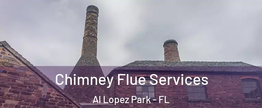 Chimney Flue Services Al Lopez Park - FL