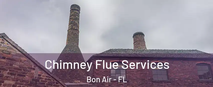 Chimney Flue Services Bon Air - FL