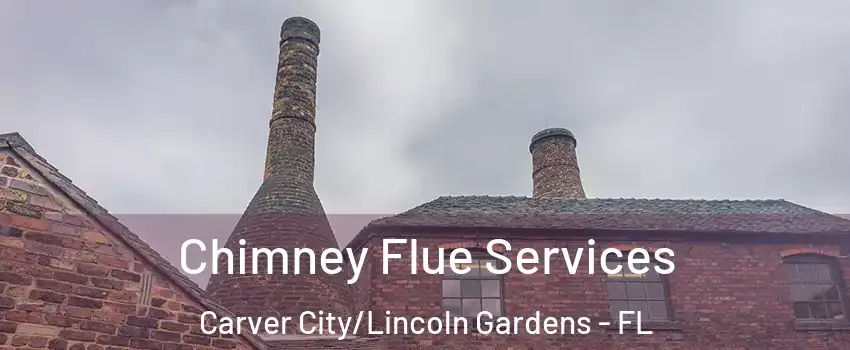 Chimney Flue Services Carver City/Lincoln Gardens - FL