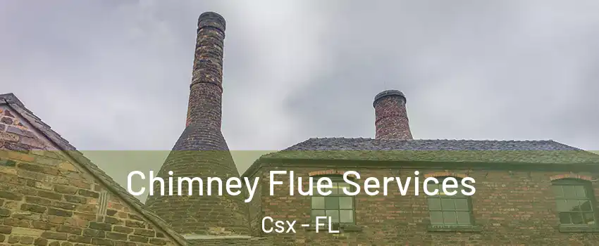 Chimney Flue Services Csx - FL