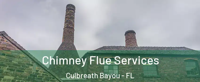 Chimney Flue Services Culbreath Bayou - FL