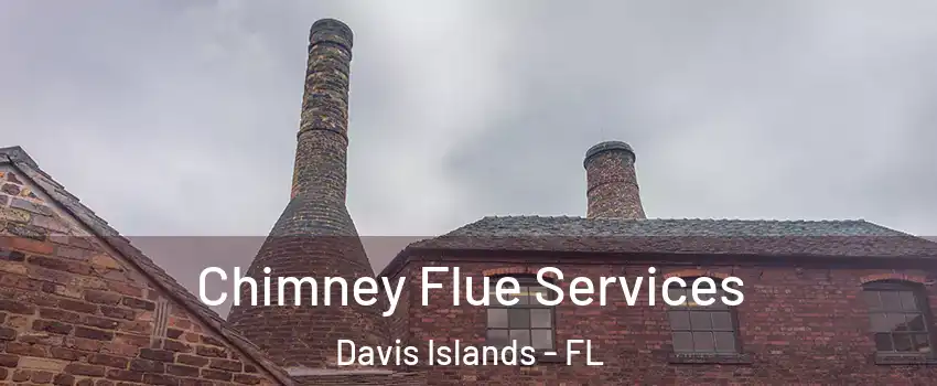 Chimney Flue Services Davis Islands - FL