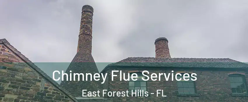 Chimney Flue Services East Forest Hills - FL