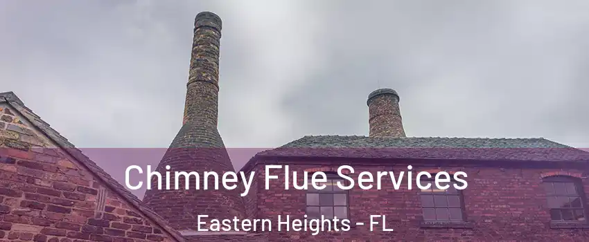 Chimney Flue Services Eastern Heights - FL