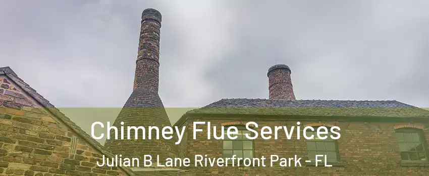 Chimney Flue Services Julian B Lane Riverfront Park - FL