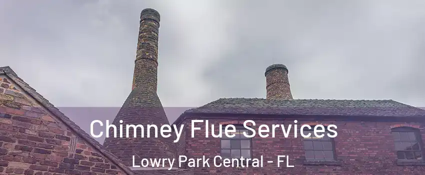 Chimney Flue Services Lowry Park Central - FL