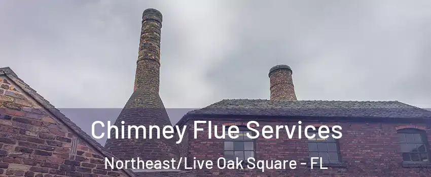 Chimney Flue Services Northeast/Live Oak Square - FL